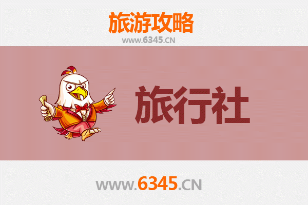泸州江阳本地旅行社推荐及深度游玩攻略